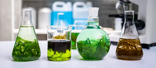 How Sustainability Regulations Are Shaping the Green Surfactants Industry?